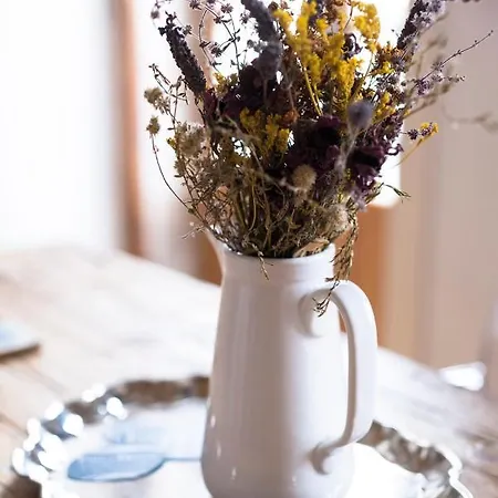 Bohemian Antique Odeceixe