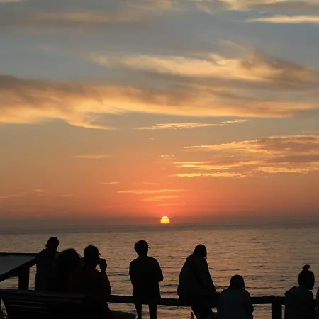 Bohemian Antique * Odeceixe